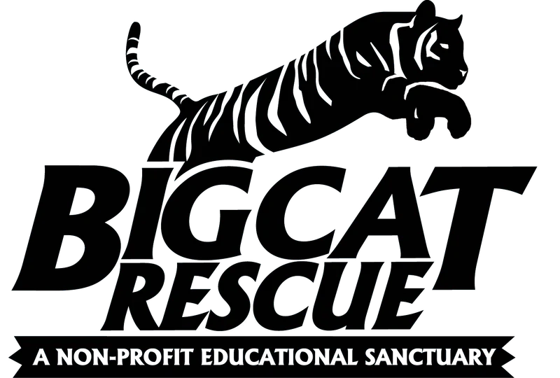 Big Cat Rescue