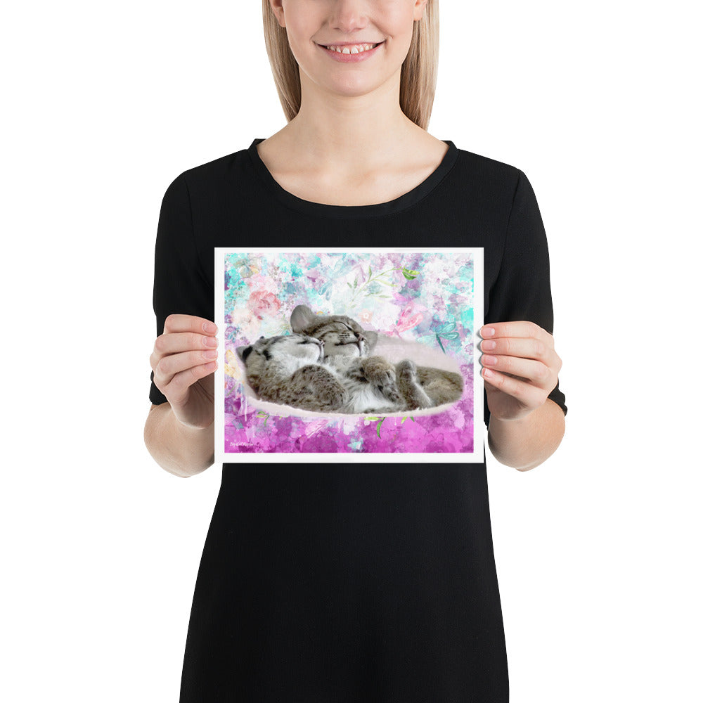 Poster - Enchanting Bobcat Bliss Poster - Adorn Your Walls with Love and Support for Wildlife