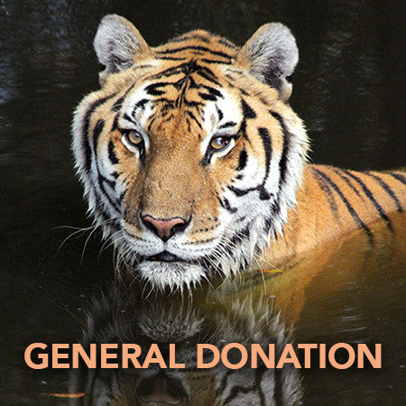 Donation - General Fund