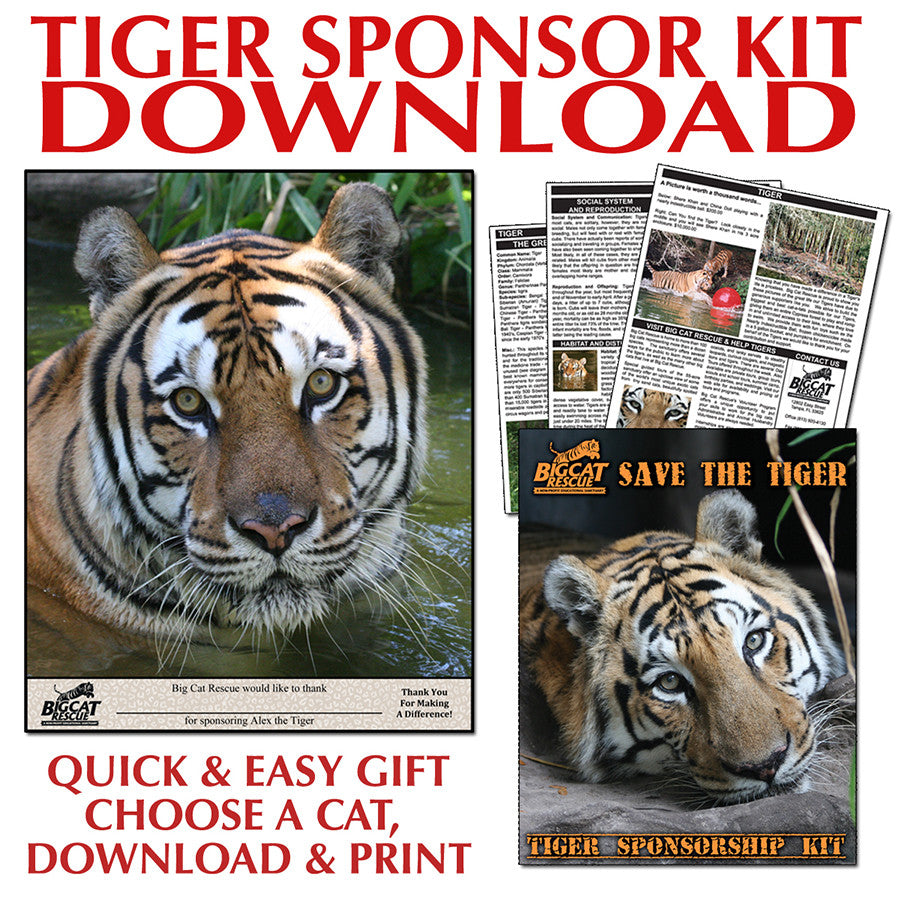 Download - Tiger Sponsorship