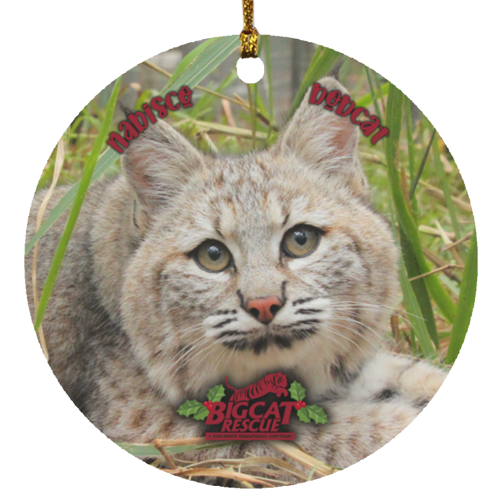 Ornament - Nabisco Bobcat Circle