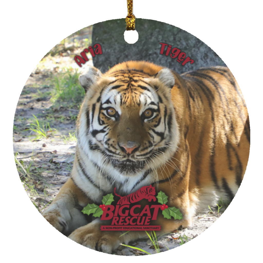 Ornament - Aria Tiger Circle