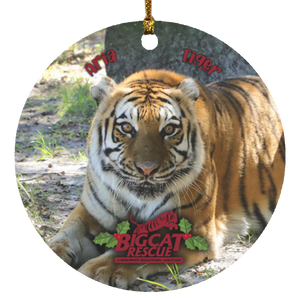 Ornament - Aria Tiger Circle