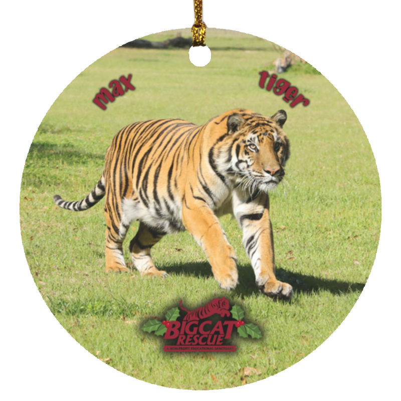 Ornament - Max Tiger Circle