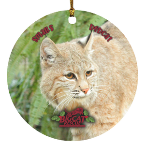 Ornament - Smalls Bobcat Circle