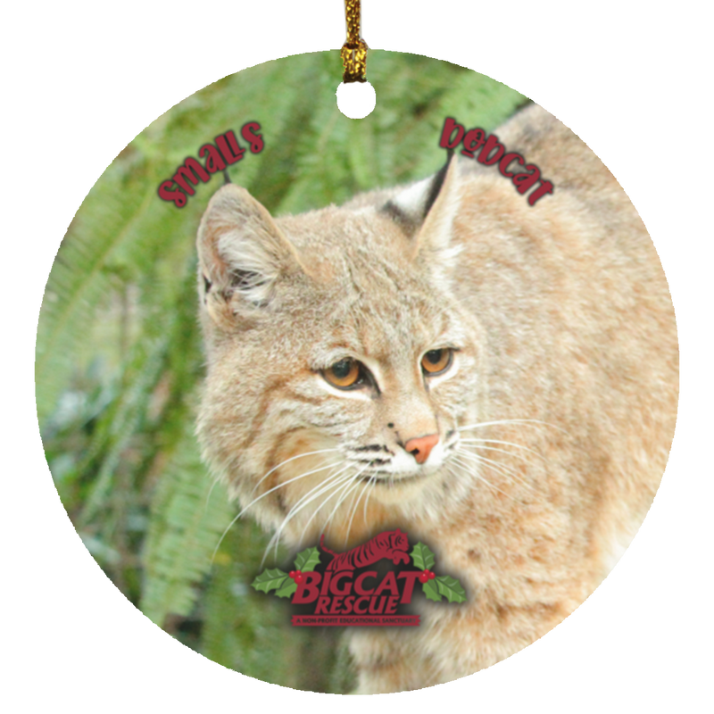 Ornament - Smalls Bobcat Circle