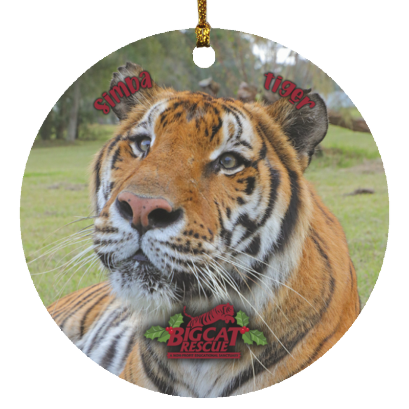 Ornament - Simba Tiger Circle