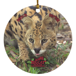 Ornament - Hutch Serval Circle
