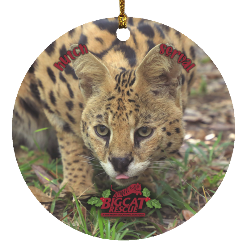 Ornament - Hutch Serval Circle