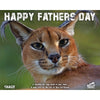 Download - Father's Day Big Cat Photo - Choose Your Big Cat