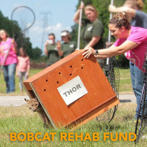Donation - Bobcat Rehabilitation Program