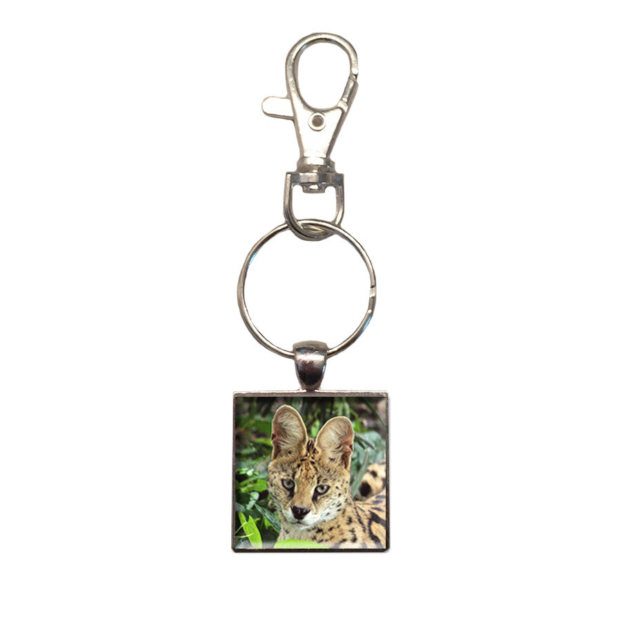 Key Chain: Metal Photo Ginger Serval