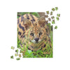 Puzzle - Hutch Serval Jigsaw