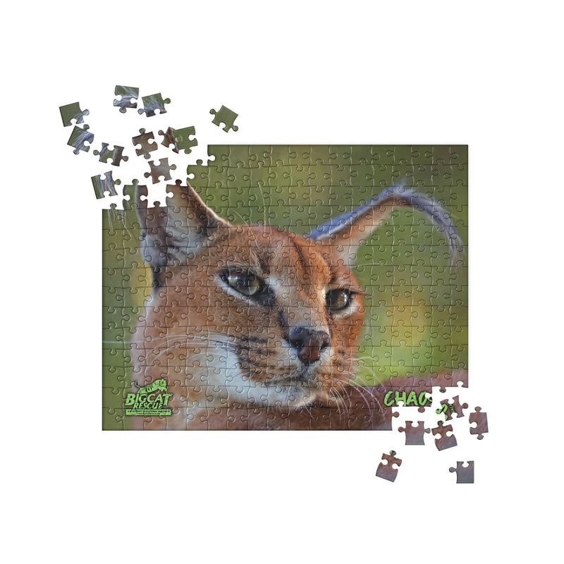 Puzzle - Chaos Caracal Jigsaw