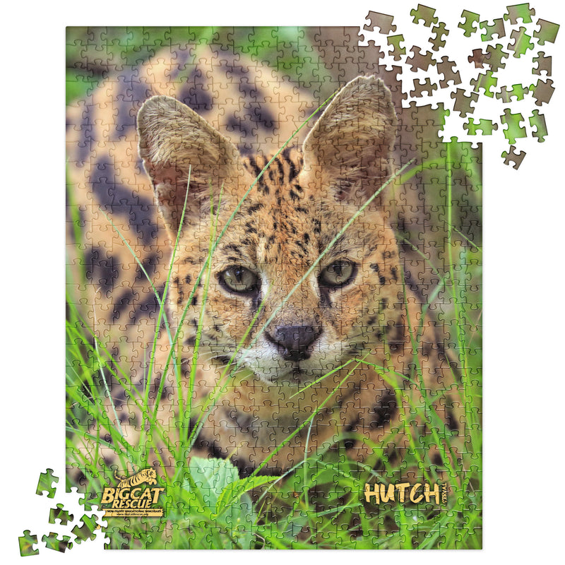 Puzzle - Hutch Serval Jigsaw