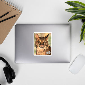 Sticker - Sioux Bobcat Painting