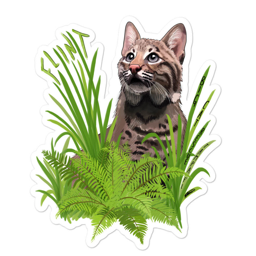 Sticker - Flint the Curious Bobcat
