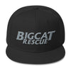Hat - BCR Embroidered Snapback