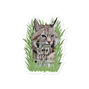 Sticker - Kewlona the Bobcat