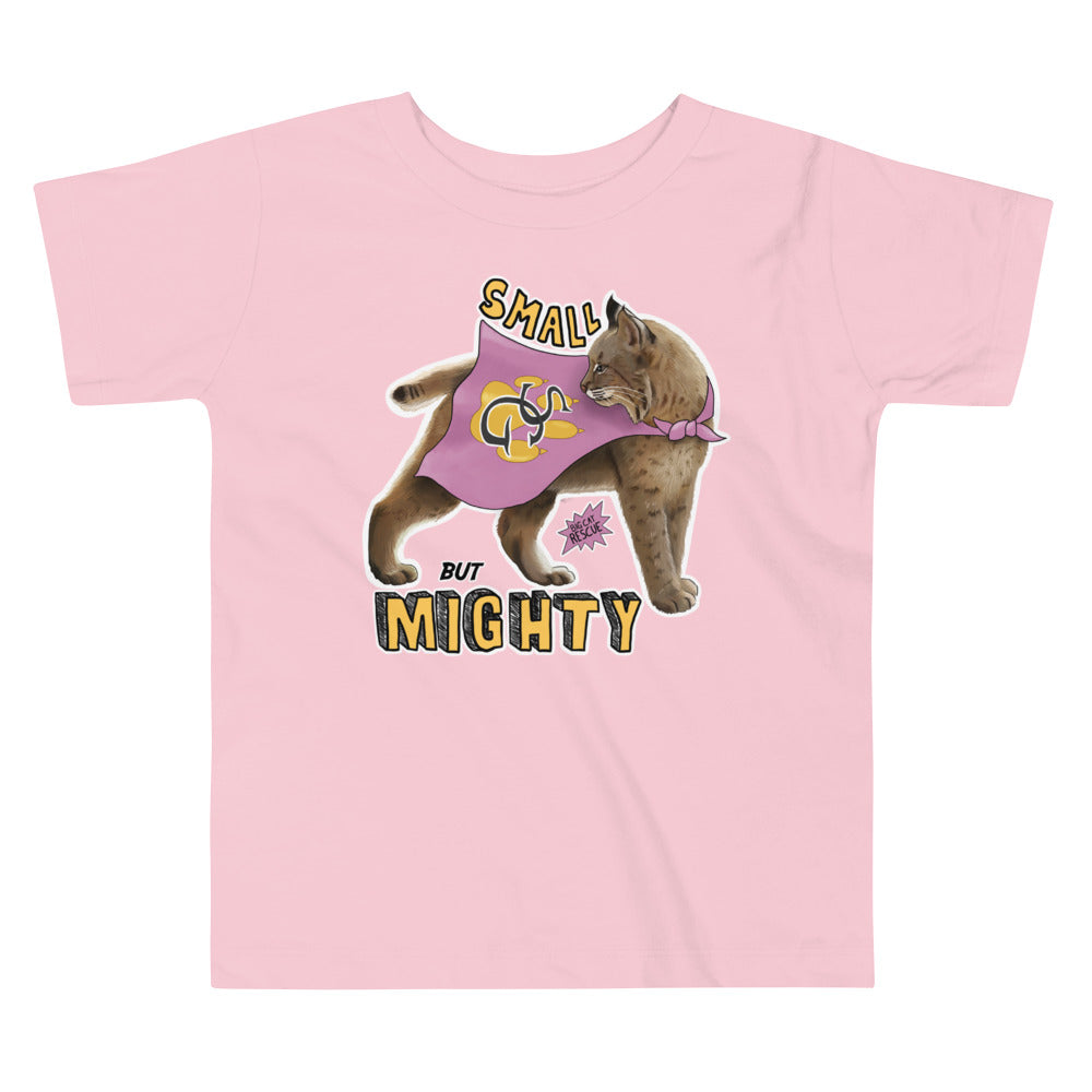 Kids Shirt - Small but Mighty Toddler Tee