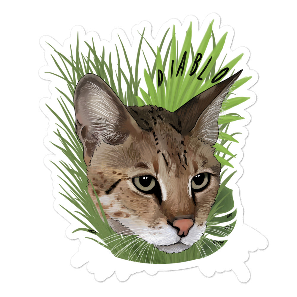 Sticker - Diablo Savannah Cat