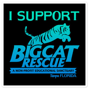 Sticker - I Support Big Cat Rescue