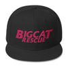 Hat - BCR Embroidered Snapback