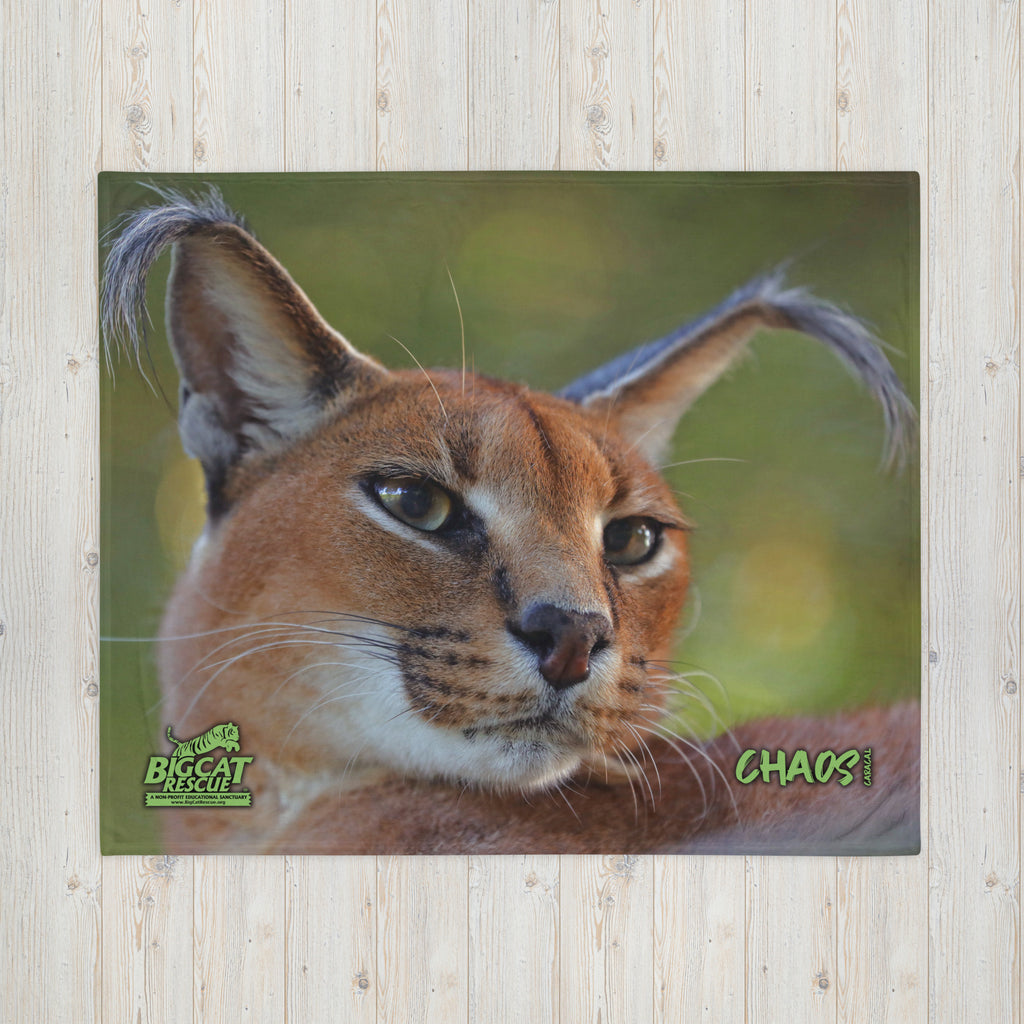 Blanket - Chaos Caracal 50x60 Throw