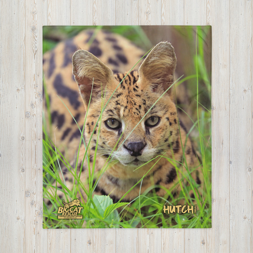 Blanket - Hutch Serval 50x60 Throw