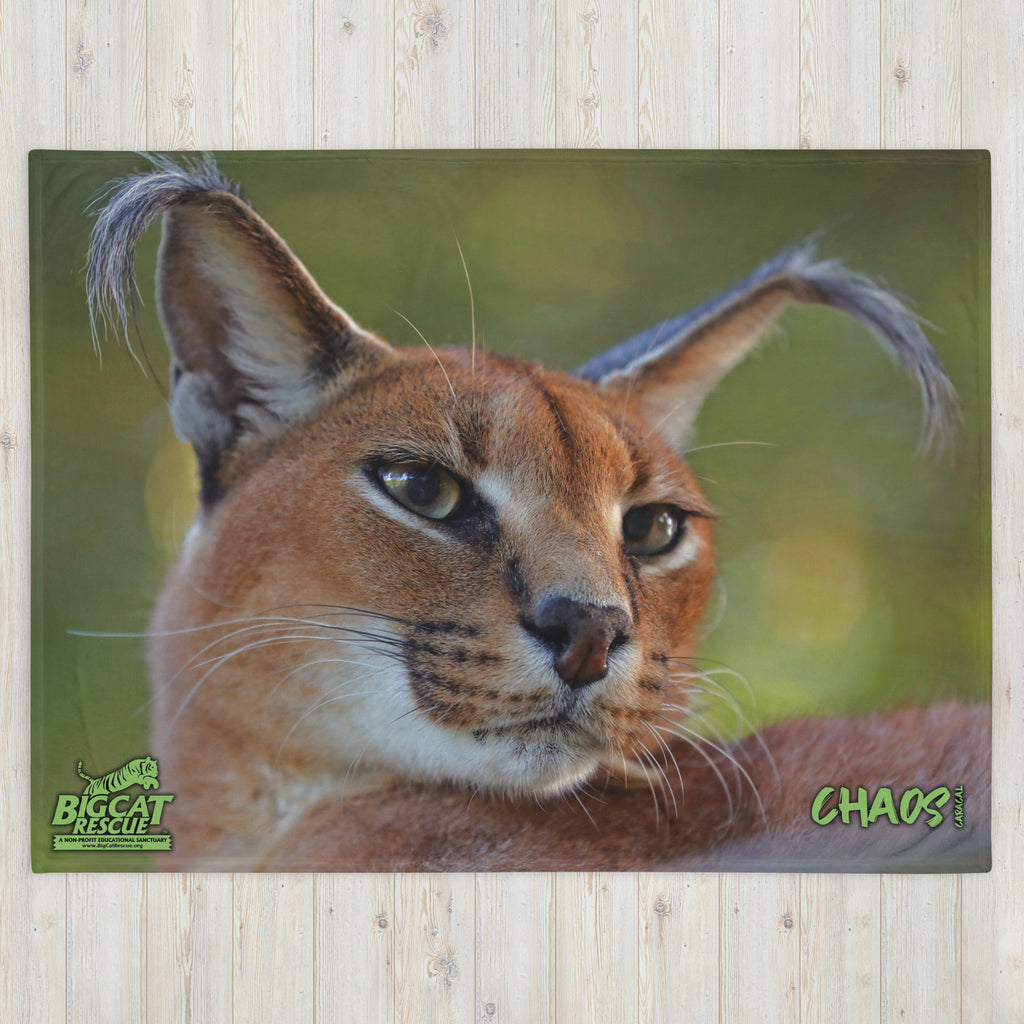 Big Floppa My Beloved Caracal Cat Meme Drawstring Bag