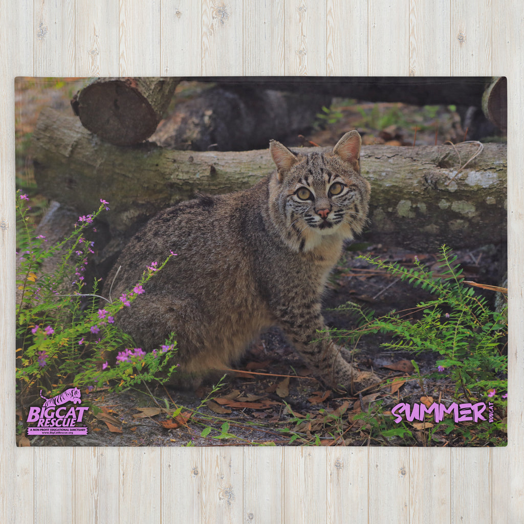 Blanket - Summer Bobcat 60x80 Throw